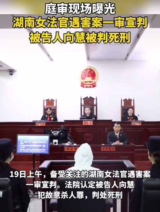 湖南省长沙市中级人民法院对被告人向慧故意杀人刑事附带民事诉讼一案