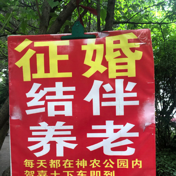 来神农公园相亲角看看老年人如何在线征婚】4月25日,神农公园相亲角