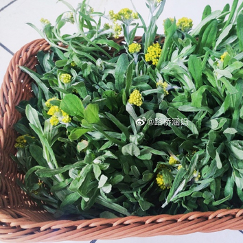 昨日从老家带回来的野菜 荠菜一一荠菜煮蛋 藠头一一藠头炒腊肉 水