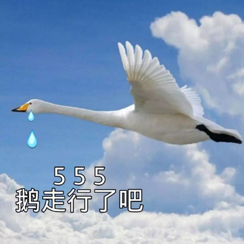 很生气不想说话 没有要多说的意思 我的心太累了 555 鹅走行了吧 气死