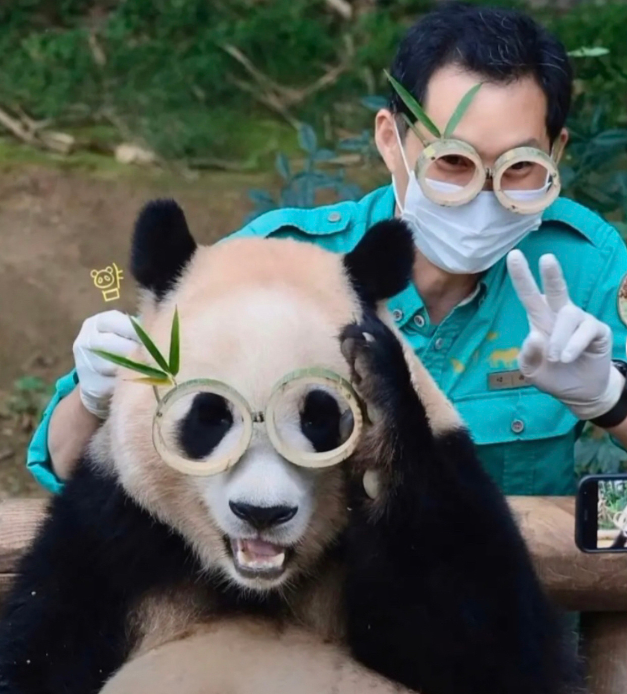 直击大熊猫福宝3岁生日派对 在韩国大熊猫福宝什么时候回国？_梨抖网