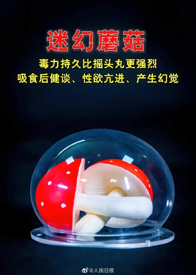 空姐结识男乘客染毒瘾后贩毒