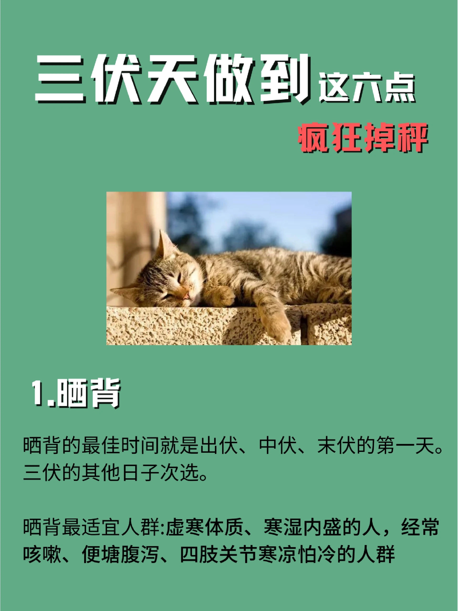 三伏天是一年当中补阳气的最好时间
