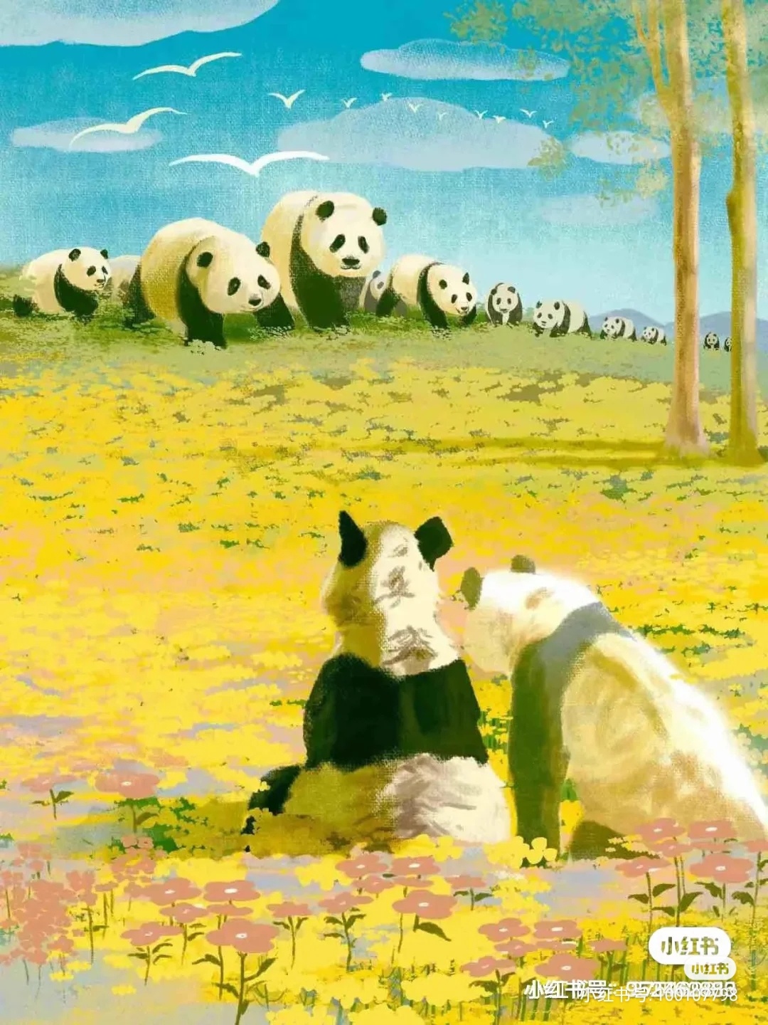 旅美大熊猫丫丫要回来了