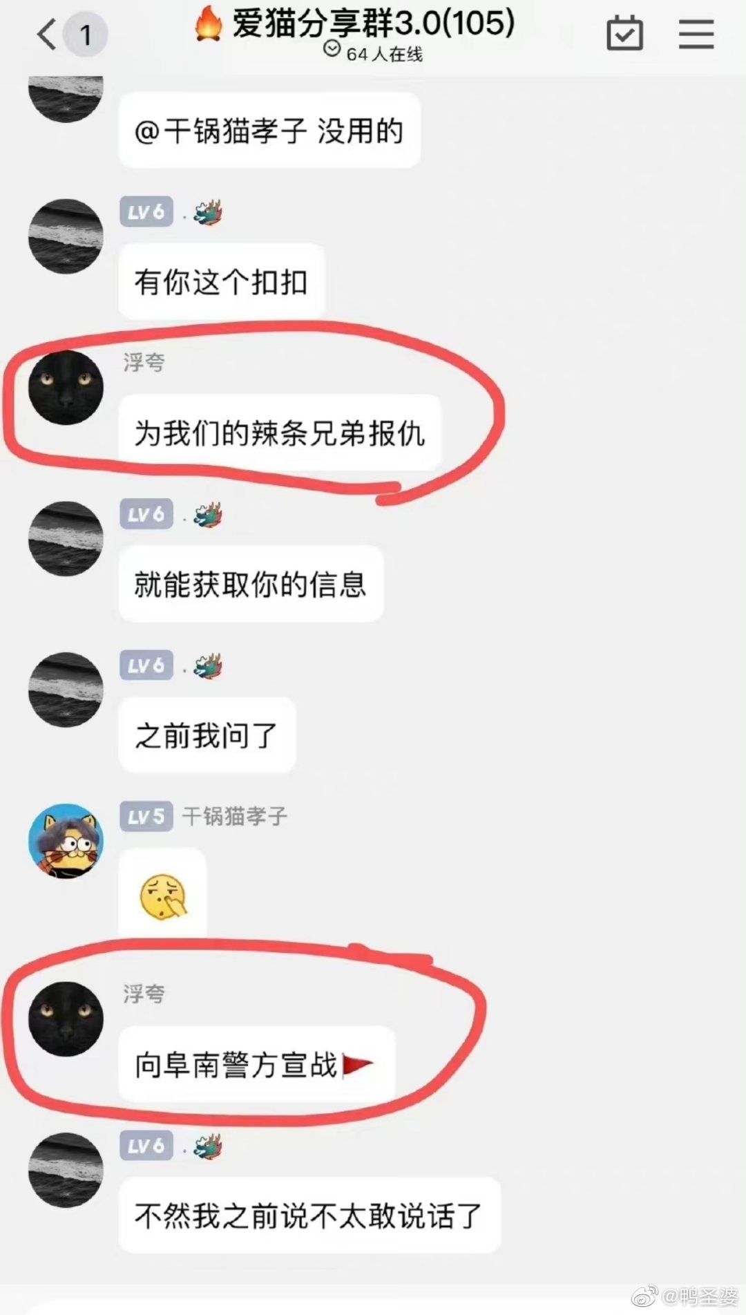 杰克辣条虐猫sexiezpix Web Porn